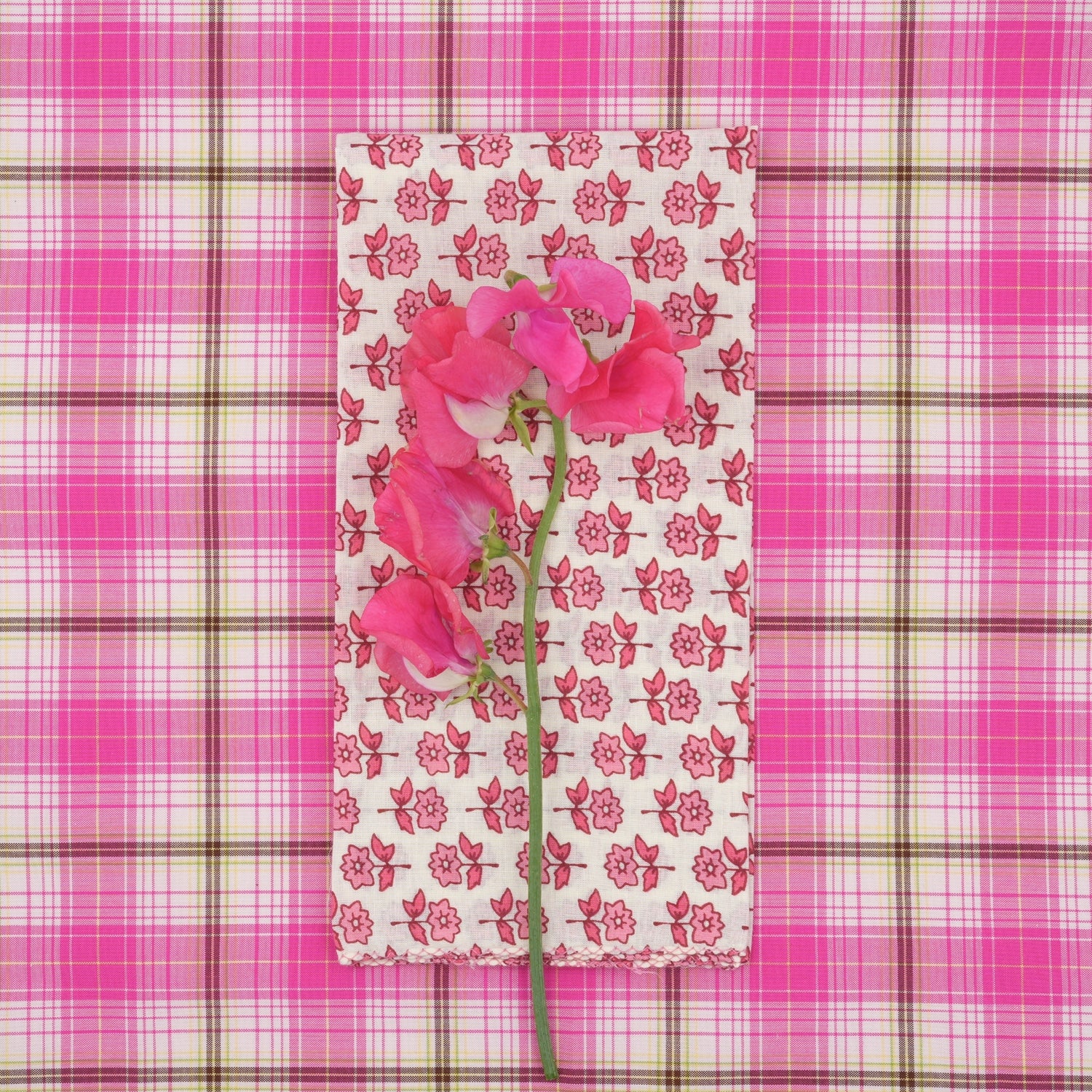 Serviettes de table x4 Bourrache Fadded